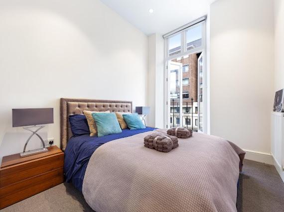 Harley Street Luxury Snug Апартаменты Лондон